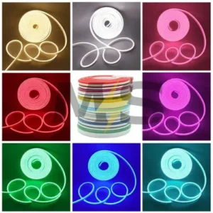 Neon Light 5m 12 Volt